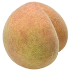 Lifelike Luxury Peach - Weighted 