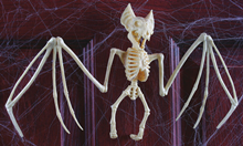 Bat Skeleton 