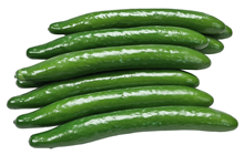 Small Fake Cucumber 