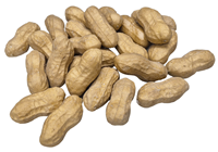 Fake Monkey Nuts - Peanuts in Shell, 