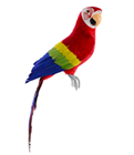 Scarlet Macaw Parrot - 42cm 