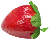 Giant Fake Strawberry 