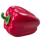 Red Bell Pepper 