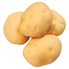 Medium Fake Potato - Pk.4 