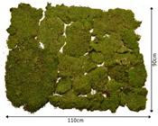 Premium Quality Flat Moss Pieces 