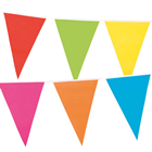 Giant Multi-Coloured Bunting 