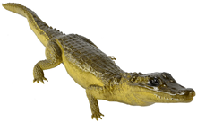 Plastic Crocodile - 65cm 