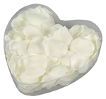 FLOATING SILK CREAM ROSE PETALS 