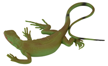 Fake Green Lizard 