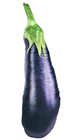 Giant Plush Aubergine-Eggplant 