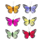 Feather Butterflies with Clip - 9cm Pk 