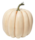 Autumn Cream Pumpkin - 20cm 