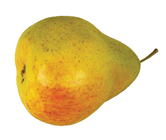 FAKE YELLOW PEAR 