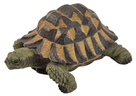Tortoise - 17cm 