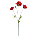 Red Poppy Spray 