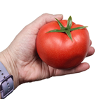 Large Mixed Tomatoes, Pk.21 - Seconds 