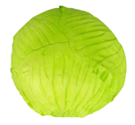 Green Cabbage 