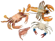 Crab, Lobster and Prawn Set 