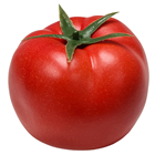 Large Lifelike Tomato 