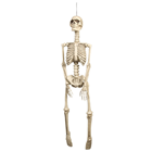 Hanging Skeleton - 92cm 