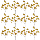 Maple Seed Spray - PACK of 12 