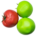 Large Mixed Tomatoes, Pk.21 - Seconds 
