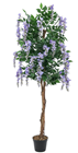 Purple Wisteria Tree - 180cm 