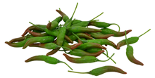 Green Chillies - Pk.36 