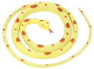 Spotty Coiled Snake 