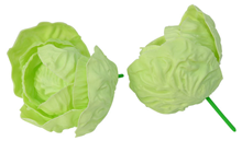 Iceburg Lettuce - 11cm Pk.2 