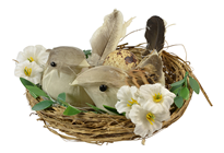 Brown Birds in Decorated Nest 