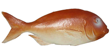 Plastic Fish - Red 36cm 