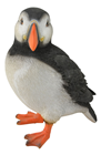 Puffin 