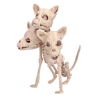 Cerberus Dog Skeleton 