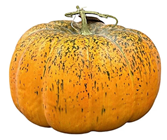 Autumnal Orange Pumpkin - 33cm 