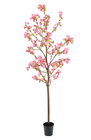 Blossom Tree - 150cm 