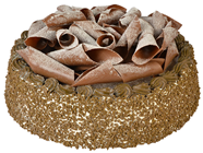 Chocolate Curl Gateau 