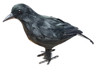 Standing Crow 30cm 