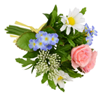 Pastel Flower Mix Posy - 23cm 