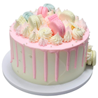 Pastel Decorated Party Cake 