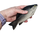 Small Grey Plastic Fish 