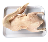 Artificial Raw Duck 