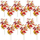 Maple Leaf Spray - PACK of 12 