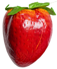 Giant Fake Strawberry - Slight Second 