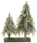 Mini Pine Tree Group - 28cm 
