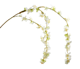 Ivory Trailing Cherry Blossom Spray 