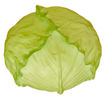 Fake Green Cabbage 