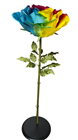 Giant Rainbow Open Rose - 136 x 50cm 