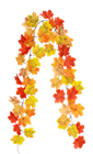 Autumnal Orange Shades Leaf Garland 