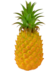 Free-Standing Pineapple 